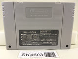 SK4603 ProWrestling TokyoDome Battle 7 Nintendo Super Famicom SNES Japan