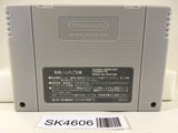 SK4606 WWF Royal Rumble Pro Wrestling Nintendo Super Famicom SNES Japan