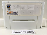 SK4607 SF Memory Nintendo Super Famicom SNES Japan