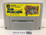 SK4794 Super Mario World Nintendo Super Famicom SNES Japan