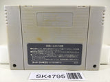 SK4795 Super Mario World Nintendo Super Famicom SNES Japan