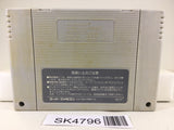 SK4796 Super Mario World Nintendo Super Famicom SNES Japan