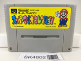 SK4802 Super Mario Collection All Stars Nintendo Super Famicom SNES Japan