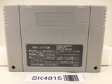 SK4815 Super Donkey Kong Country Nintendo Super Famicom SNES Japan