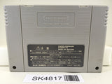 SK4817 Super Donkey Kong Country 2 Nintendo Super Famicom SNES Japan