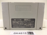SK4818 Super Donkey Kong Country 3 Nintendo Super Famicom SNES Japan
