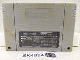 SK4824 Street Fighter II 2 Turbo Nintendo Super Famicom SNES Japan