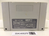 SK4825 Final Fight 2 Nintendo Super Famicom SNES Japan
