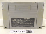 SK4826 Final Fight Guy Nintendo Super Famicom SNES Japan