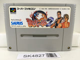 SK4827 Art Of Fighting 2 Nintendo Super Famicom SNES Japan