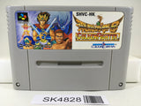 SK4828 Hiryuu no Ken S Golden Fighter Nintendo Super Famicom SNES Japan