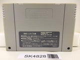 SK4828 Hiryuu no Ken S Golden Fighter Nintendo Super Famicom SNES Japan