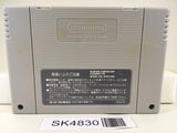 SK4830 Batman Returns Nintendo Super Famicom SNES Japan