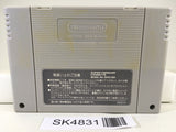 SK4831 Virtual Wars The Lawnmower Man Nintendo Super Famicom SNES Japan
