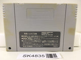 SK4835 Dragon Ball Z Super Butouden Nintendo Super Famicom SNES Japan