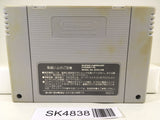 SK4838 Dragon Ball Z Super Butouden 2 Nintendo Super Famicom SNES Japan