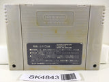 SK4843 Final Fantasy 5 V Nintendo Super Famicom SNES Japan