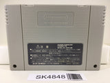 SK4848 Dragon Quest VI 6 Nintendo Super Famicom SNES Japan