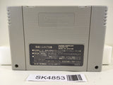 SK4853 The Legend Of Zelda A Link to the Past Nintendo Super Famicom SNES Japan