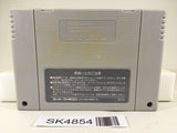 SK4854 The Legend Of Zelda A Link to the Past Nintendo Super Famicom SNES Japan
