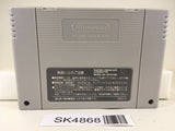 SK4868 ActRaiser Nintendo Super Famicom SNES Japan