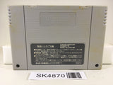 SK4870 Chou Makaimura Super Ghouls 'n Ghosts Nintendo Super Famicom SNES Japan