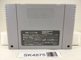 SK4875 Elnard The 7th Saga Nintendo Super Famicom SNES Japan