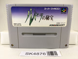 SK4876 Treasure of the Rudras Rudra no Hihou Nintendo Super Famicom SNES Japan