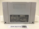 SK4879 Breath of Fire 2 Shimei no Ko Nintendo Super Famicom SNES Japan