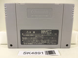 SK4891 Bahamut Lagoon Nintendo Super Famicom SNES Japan