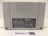 SK4917 Kirby Bowl Kirby's Dream Course Nintendo Super Famicom SNES Japan