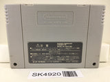 SK4920 Super Puyo Puyo 2 Remix Tsu Nintendo Super Famicom SNES Japan