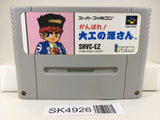 SK4926 Hammerin' Harry Ganbare! Daiku no Gensan Super Famicom SNES Japan