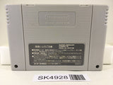 SK4928 Super Wagyan Land 2 Nintendo Super Famicom SNES Japan