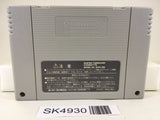 SK4930 Chibi Maruko Chan Mezase! MinamiNo Island!! Super Famicom SNES Japan