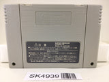 SK4939 Umi no Nushi Tsuri Fishing Nintendo Super Famicom SNES Japan