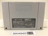 SK4945 FirePro Joshi AllStarDreamSlam ProWrestling Super Famicom SNES Japan