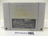 SK4949 Super Mario World Nintendo Super Famicom SNES Japan