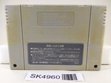 SK4960 Super Mario Collection All Stars Nintendo Super Famicom SNES Japan