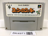 SK4971 Yoshi no Cookie Yoshi's Cookie Nintendo Super Famicom SNES Japan