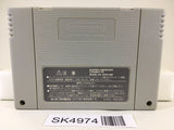 SK4974 Super Donkey Kong Country 3 Nintendo Super Famicom SNES Japan