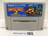 SK4975 Super Donkey Kong Country 2 Nintendo Super Famicom SNES Japan