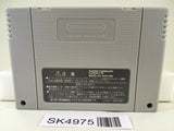 SK4975 Super Donkey Kong Country 2 Nintendo Super Famicom SNES Japan