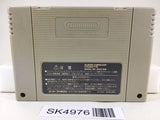 SK4976 Super Donkey Kong Country 2 Nintendo Super Famicom SNES Japan