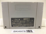 SK4978 Super Donkey Kong Country 2 Nintendo Super Famicom SNES Japan