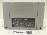 SK4981 Super Donkey Kong Country Nintendo Super Famicom SNES Japan