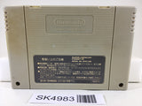 SK4983 Super Donkey Kong Country Nintendo Super Famicom SNES Japan