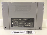 SK4985 Super Donkey Kong Country Nintendo Super Famicom SNES Japan