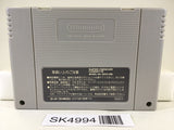 SK4994 Final Fight Guy Nintendo Super Famicom SNES Japan