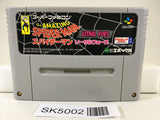 SK5002 The Amazing SpiderMan Lethal Foes Nintendo Super Famicom SNES Japan